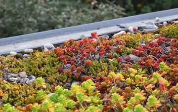 the cost of Upper Shirley green roof installation