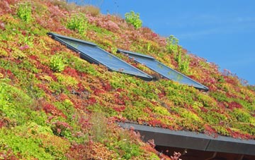 Upper Shirley living roof systems