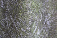 Upper Shirley fibreglass roof work