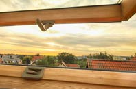 rated Upper Shirley roof window companies